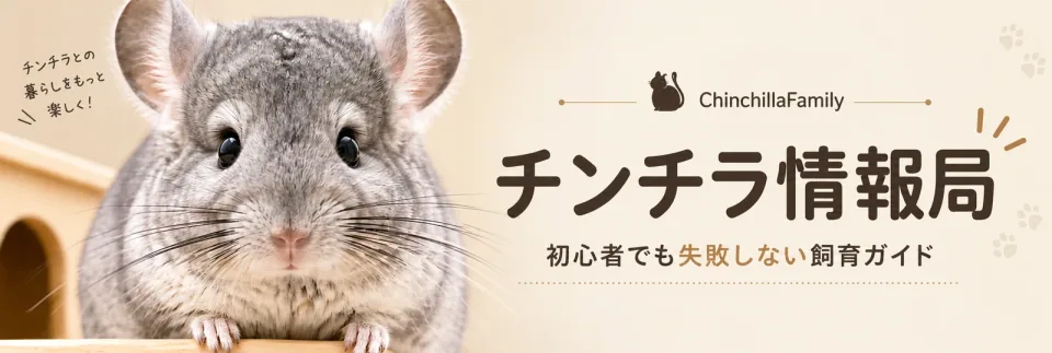 チンチラ情報局 初心者でも失敗しない飼育ガイド