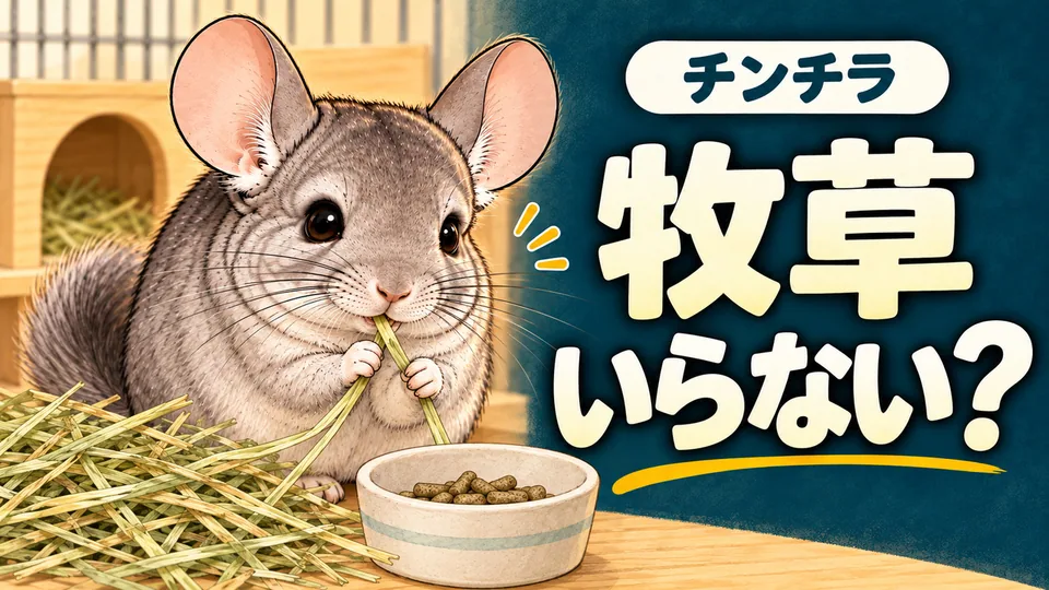 第3回：牧草とペレットの動画サムネイル