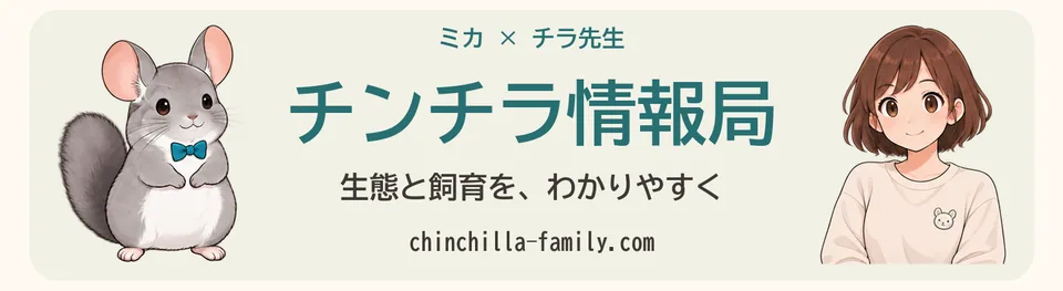 ミカとチラ先生のチンチラ情報局