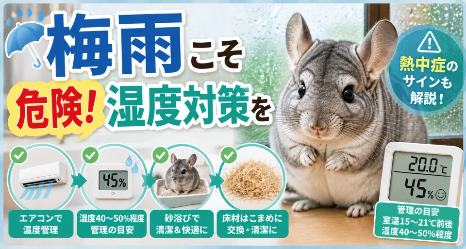 梅雨のチンチラ飼育で気をつけること｜湿度対策と健康管理まとめ