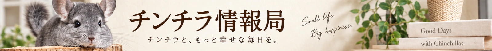 チンチラ情報局 チンチラと、もっと幸せな毎日を。